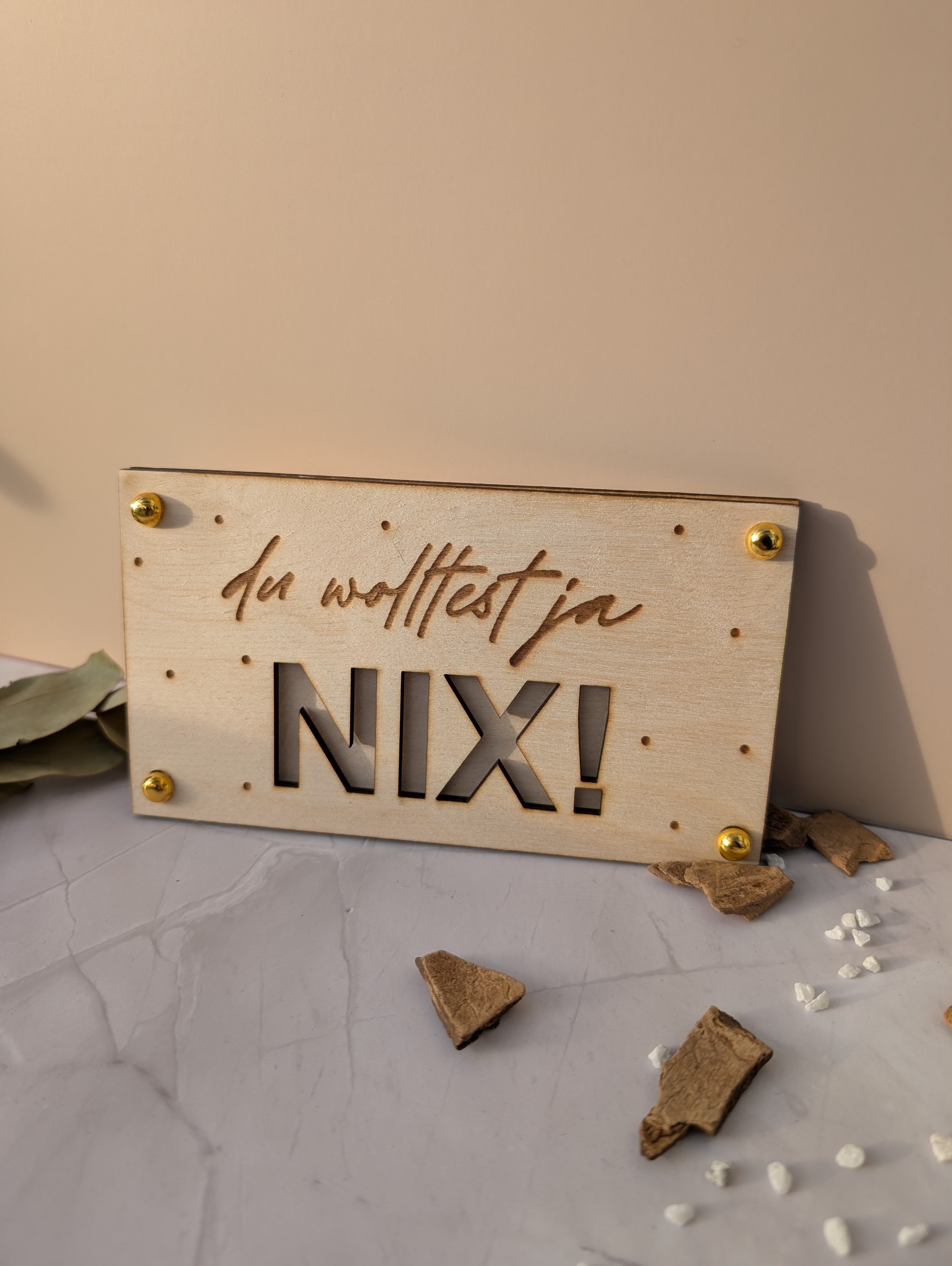 Wünscherfüller „Du wolltest ja NIX!“ – Originelles Geldgeschenk & Lustige Geschenkidee (10x16 cm)