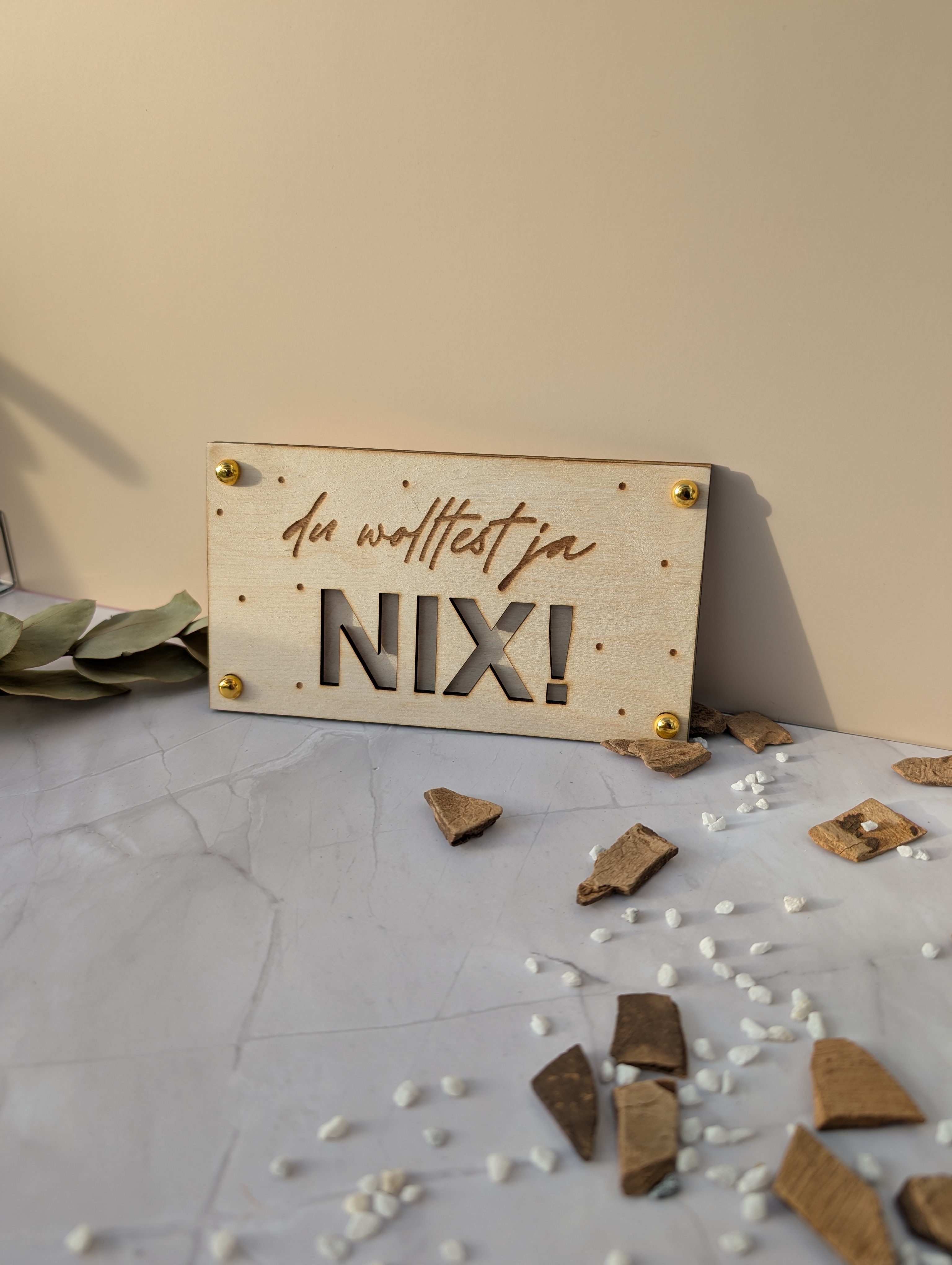 Wünscherfüller „Du wolltest ja NIX!“ – Originelles Geldgeschenk & Lustige Geschenkidee (10x16 cm)